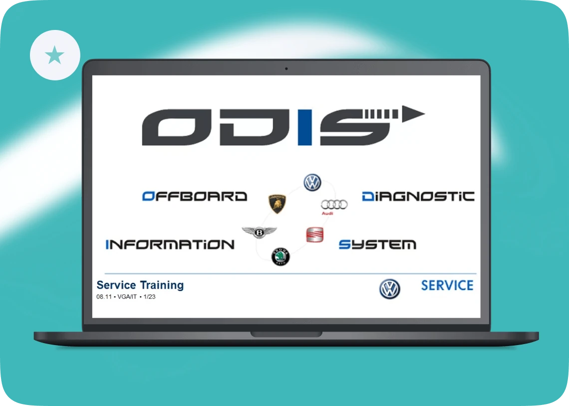 VAG ODIS-Service